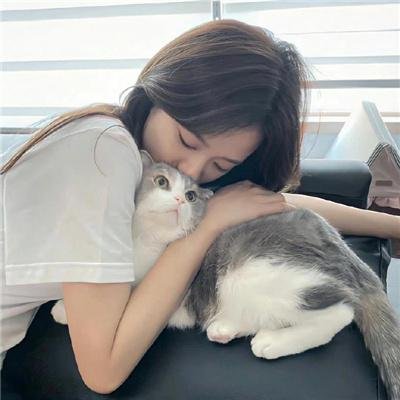 冈比
